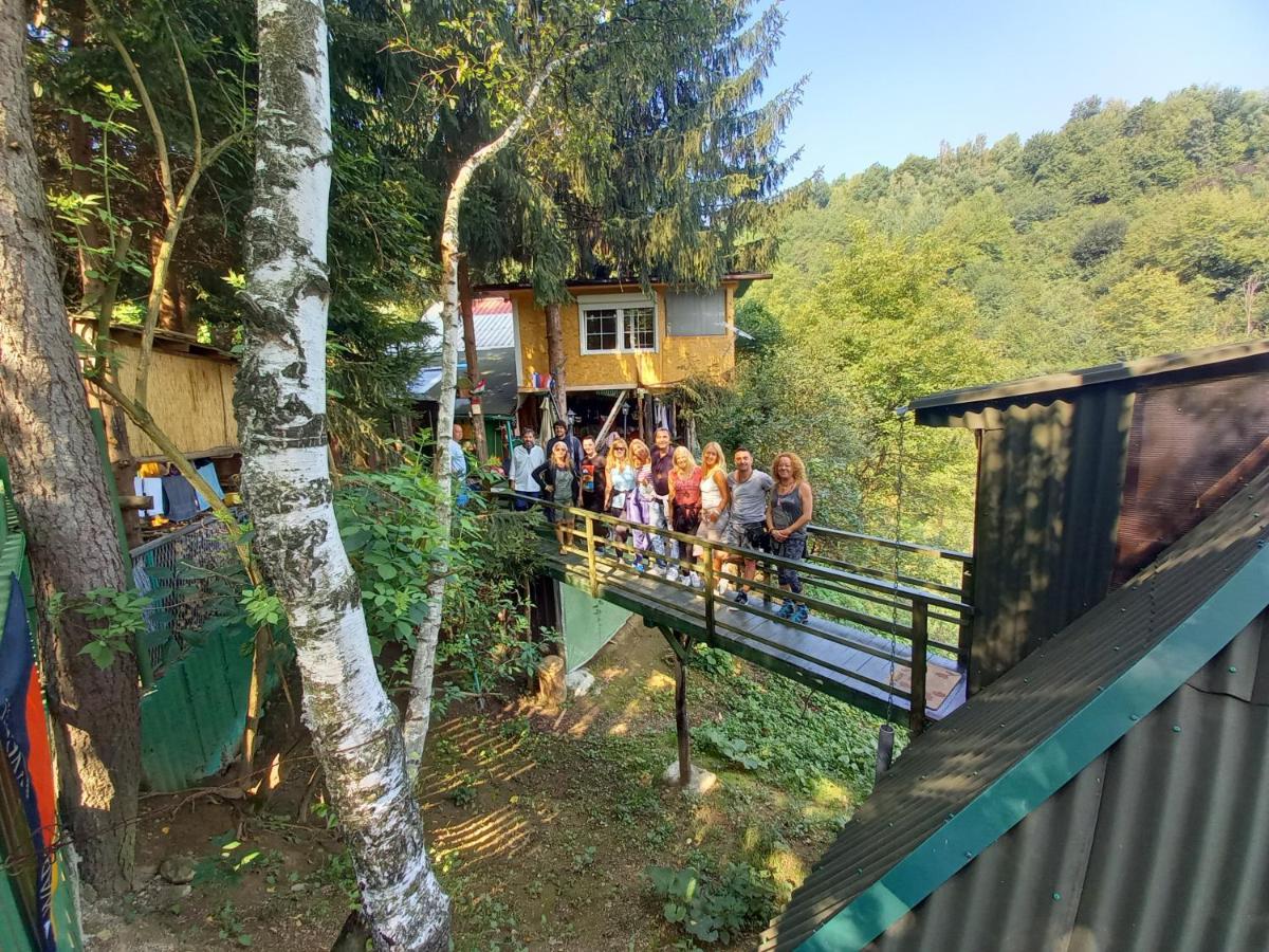 Апартаменты Tree House Високо Экстерьер фото